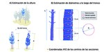 Especial Asturias. Inventario forestal de precisión basado en nubes d epuntos terrestres: validación en parcelas de estudio del género Pinus situadas en Asturias